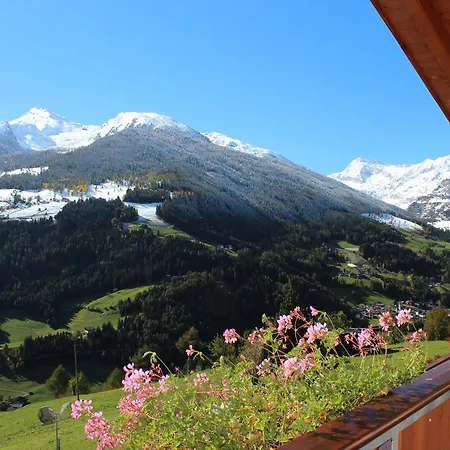 Guest house Widmann 2*